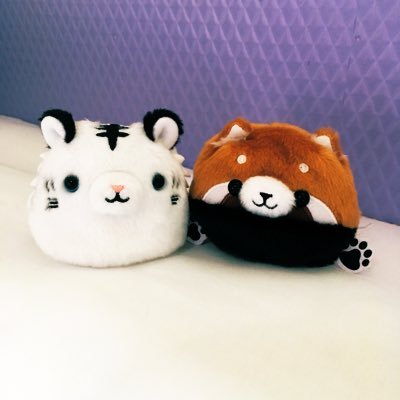 ねこいろさんのプロフィール画像