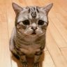mond_pimond's profile picture. 
