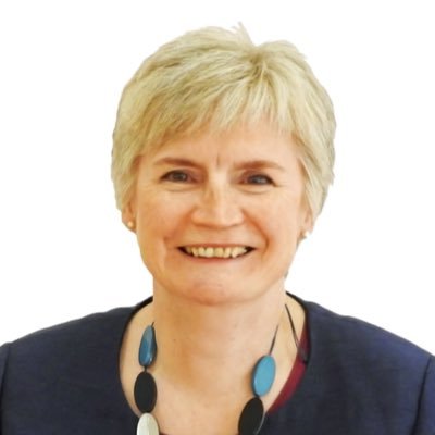 Retired Local Govt Director and HR professional FCIPD, experienced coach and mentor
