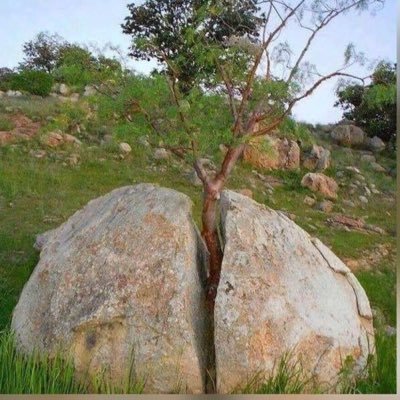 Dicle21Ferat's profile picture. 