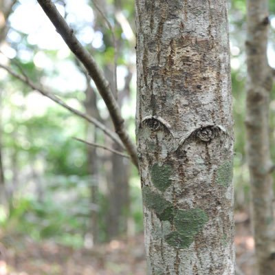 r32vwglf's profile picture. MD@Yokohama&Amami