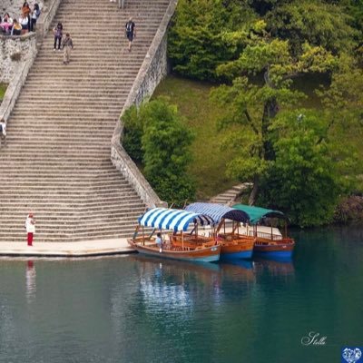 Latefah781's profile picture. الحياه تستمر... فرغم الخسارة لا تيأس .. ورغم الألم لاتحزن وعش اللحظات مع من تحب فنحن راحلون....✨