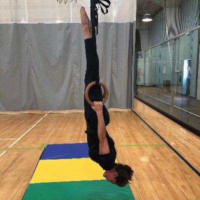 reale_fit's profile picture. loves dogs and spending time upside down