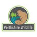 Perthshire Wildlife (@PerthshireWild) Twitter profile photo