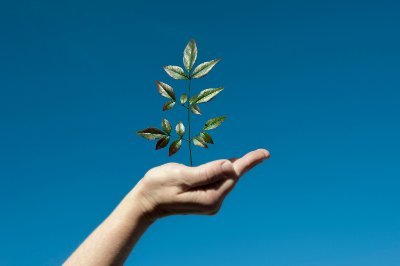 The official Twitter account of the Center for Environmental and Resource Economic Policy (CEnREP) at NC State University.