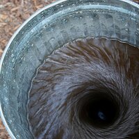 francis hutt (@mckeefry) 's Twitter Profile