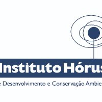 Instituto Hórus (@instituto_horus) 's Twitter Profile