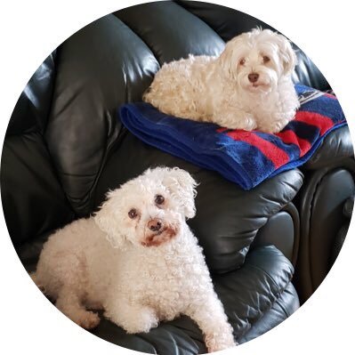 ilva1251_BOA's profile picture. SUCCESS IS NO ACCIDENT. It is hard work, perseverance, learning, studying, sacrifice and most of all, Love of what you're doing.