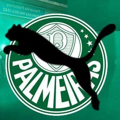 PalmeraoCampeao's profile picture. SEP