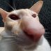 dop (@doplino) Twitter profile photo dop (@doplino) Twitter profile photo