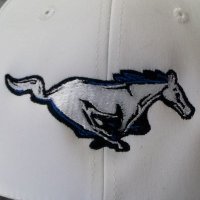 New Hamburg Mustangs (@nhmustangs) 's Twitter Profile Photo New Hamburg Mustangs (@nhmustangs) 's Twitter Profile Photo