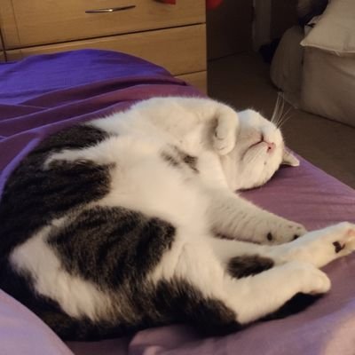 PeachieCarol's profile picture. I am an ACP working with Older People in ED. Views expressed are my own. I have a strong Christian faith and am married with two grown up children!