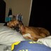 Joe Cesare (@joe33572795) Twitter profile photo Joe Cesare (@joe33572795) Twitter profile photo