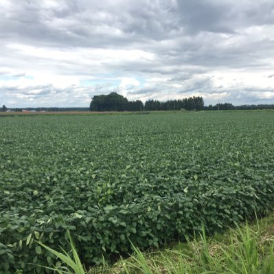 Kjh50lSkCVUmElK's profile picture. 