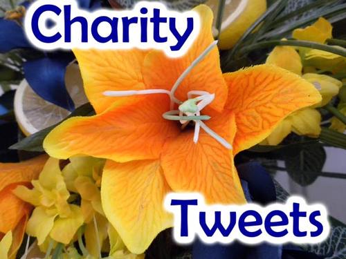 Using the Power of Twitter for Good! Charity of the month- Diabetes Research Institute