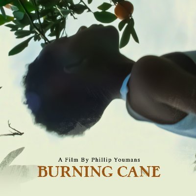 BURNING CANE