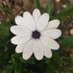 Living in RdgUK (@inrdguk) Twitter profile photo Living in RdgUK (@inrdguk) Twitter profile photo