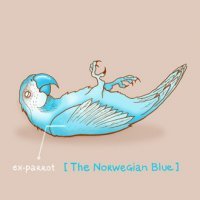 rudenchik's profile picture. 