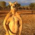 Kangaroo Jack (@Kangaro90793333) Twitter profile photo