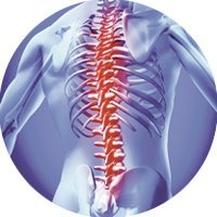 Platinum open-access peer-reviewed scientific medical journal #reumatology #traumatology #orthopedics #osteoporosis #pain #arthritis #joints #diseases
