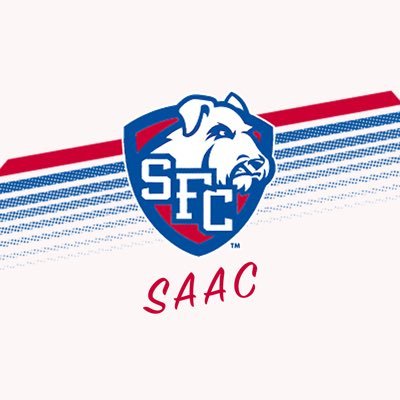 Student Athlete Advisory Committee for St. Francis College in Brooklyn Heights, New York #brooklyntough #bettertogether