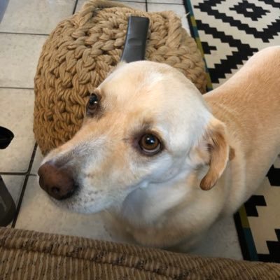 Mike_S_Warman's profile picture. Anyone else despise hereditary monarchies but love gossip on the royal family? ☮️❤️🙂