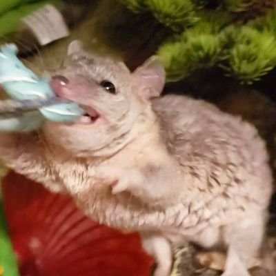 BleepBl49885899's profile picture. bleep