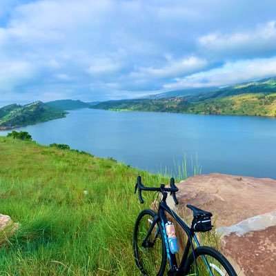 StacieSchuetta's profile picture. 