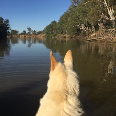 jjoda50's profile picture. I’m here for the pups and for lefty content