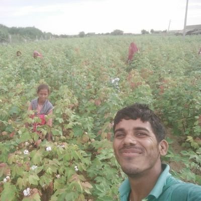Anadadas1's profile picture. 