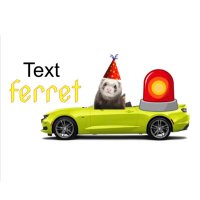 Text Ferret (@textferret) 's Twitter Profile
