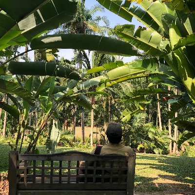 slambidder's profile picture. No Drink, No Life.