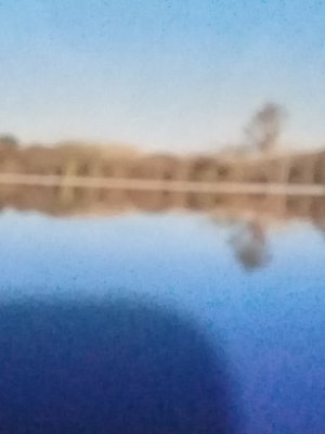 DellaPacholski's profile picture. 