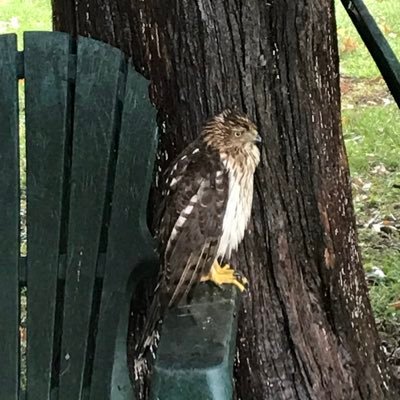 redorancompany's profile picture. 