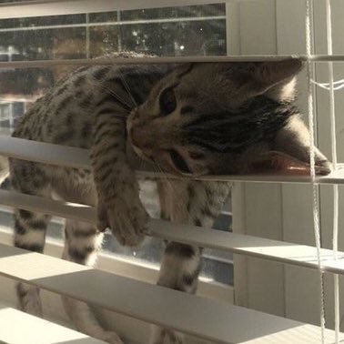 samdasooa's profile picture. 그레이 아나토미 시청중. 데이터 보는일로 먹고 살아요. 조직문화관리에 관심있음. 행복하고 편하게 사는 법 연구 중