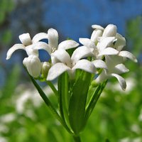 Bebop's Place (@bebopsplace) 's Twitter Profile Photo