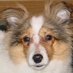 Mike O (@mikeo53) Twitter profile photo