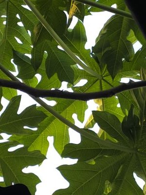 Adam70189419's profile picture. I am a professional photographer. I am also a photo and video editor.