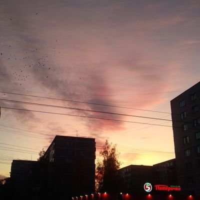 Nas_Kruglova's profile picture. 