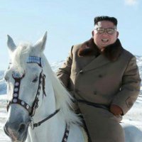 Napoleon Bonaparte (@napoleoncoin) Twitter profile photo