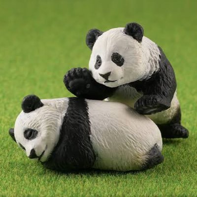 pandanight0's profile picture. 引退