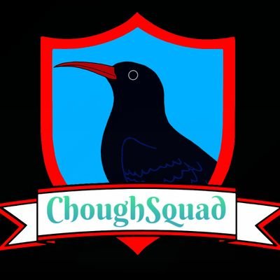 Part time photog, part time gamer. Catch me on twitch with the choughsquad!!!!
Twitch: CornishGamerBF97 
Discord: https://t.co/3GwAqz8Zkg