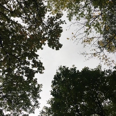 veralejp's profile picture. 