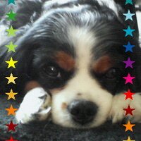 junko (@junkocookei113) 's Twitter Profile