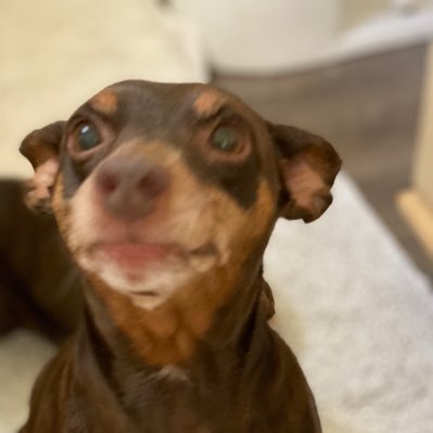 capecod4040's profile picture. Practicing RN with a social conscious. We all deserve health care. Born & raised in Massachusetts. Living my older years in Florida. Married 36 years. No DM’s.