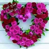 بنت ماما نانى حسن (@clfh5tpf1rlpu9n) Twitter profile photo