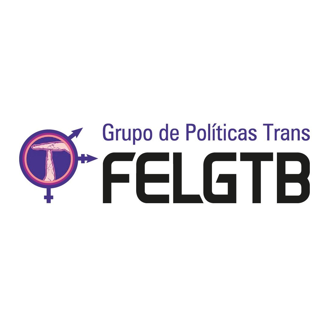 Grupo de Políticas Trans de @FELGTB. Si quieres hacer activismo trans con nosotres, ¡escríbenos!