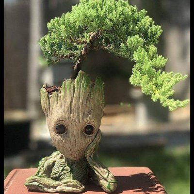 Iam_DrBrown's profile picture. ...don't study 📙 me, you won't graduate 🎓