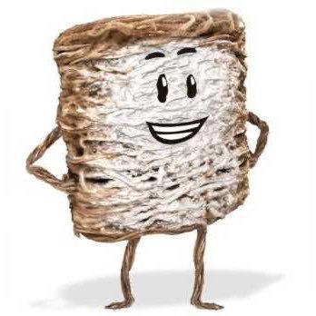 Frosted Mini-Wheat®