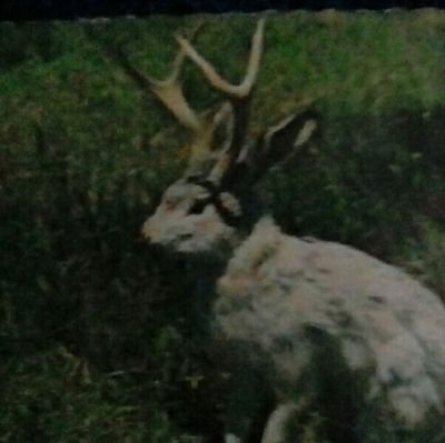 jVtW7TY1fmedhOE's profile picture. Zionist📖BibleThumper☎listen/talk💖Bible📖Prophecy🎓Mom💕Kids📣1A🔫2A💜Military+PD+FD💕ISRAEL🔯💕Trump💕🎯MAGA🚧BuildTheWall💖JerichoJayHawks🚫NO🎭DAMocRATS🃏🗿